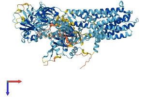 AlphaFold protein structure predicition of Human Recombinant ATP13A2 Protein, UniprotID Q9NQ11