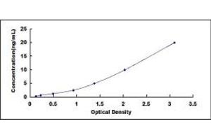 omega-3 Fatty Acid Receptor 1 (O3FAR1) ELISA Kit