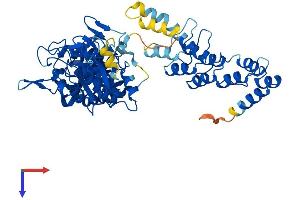 Asparaginase Homolog (ASPG) (AA 1-564) protein (His tag)