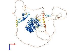 AlphaFold protein structure predicition of Human Recombinant TGS1 Protein, UniprotID Q96RS0