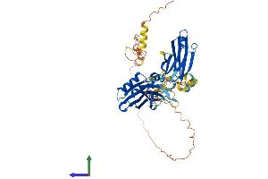 AlphaFold protein structure predicition of Human Recombinant SYT17 Protein, UniprotID Q9BSW7