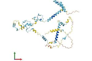AlphaFold protein structure predicition of Human Recombinant ZC3H15 Protein, UniprotID Q8WU90
