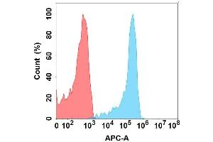 Flow cytometry analysis with Anti-CD23 on Expi293 cells transfected with human CD23 (Blue histogram) or Expi293 transfected with irrelevant protein (Red histogram).
