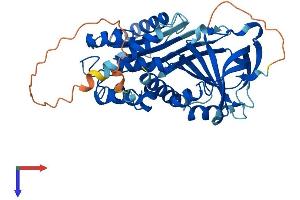 AlphaFold protein structure predicition of Mouse Recombinant Serpinb12 Protein, UniprotID Q9D7P9