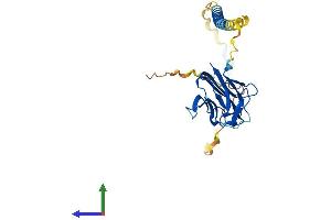 AlphaFold protein structure predicition of Human Recombinant FASLG Protein, UniprotID P48023