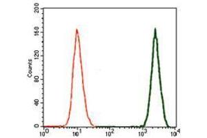 Flow cytometric analysis of A549 cells using TGFb1 mouse mAb (green) and negative control (red).