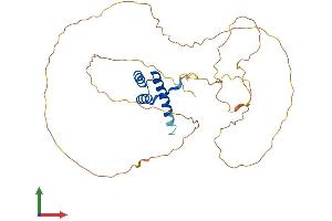 AlphaFold protein structure predicition of Mouse Recombinant Hoxd13 Protein, UniprotID P70217