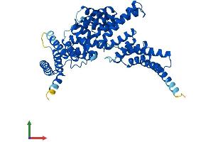 AlphaFold protein structure predicition of Human Recombinant IFIT1 Protein, UniprotID P09914