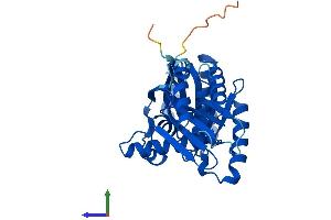AlphaFold protein structure predicition of Human Recombinant RRAGA Protein, UniprotID Q7L523