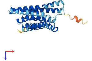 AlphaFold protein structure predicition of Mouse Recombinant Slc50a1 Protein, UniprotID Q9CXK4