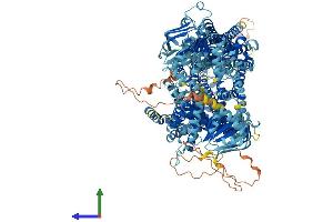AlphaFold protein structure predicition of Human Recombinant ABCC8 Protein, UniprotID Q09428