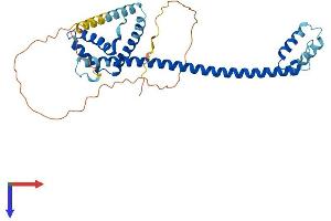 AlphaFold protein structure predicition of Mouse Recombinant Hmg20a Protein, UniprotID Q9DC33