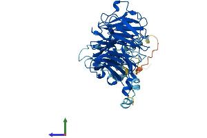 AlphaFold protein structure predicition of Mouse Recombinant Cstf1 Protein, UniprotID Q99LC2