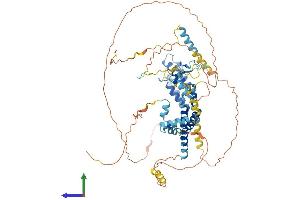 AlphaFold protein structure predicition of Mouse Recombinant Brd7 Protein, UniprotID O88665