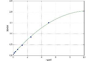 Indian Hedgehog (IHH) ELISA Kit