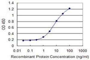 anti-Set1/Ash2 Histone Methyltransferase Complex Subunit ASH2 (ASH2L) (AA 424-530) antibody