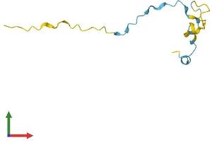 AlphaFold protein structure predicition of Mouse Recombinant Pde6h Protein, UniprotID P61249