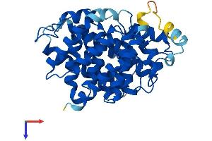 AlphaFold protein structure predicition of Human Recombinant ADPRHL1 Protein, UniprotID Q8NDY3