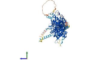 AlphaFold protein structure predicition of Human Recombinant PLA2G6 Protein, UniprotID O60733