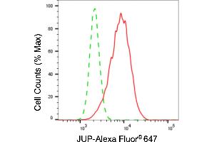 Flow cytometric analysis of JUP expression in HepG2 cells using JUP antibody (ABIN7799151), 1:2,000).