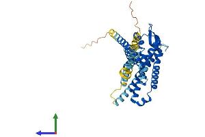 AlphaFold protein structure predicition of Mouse Recombinant Fpr-s1 Protein, UniprotID O08790