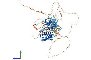 AlphaFold protein structure predicition of Mouse Recombinant Brsk1 Protein, UniprotID Q5RJI5