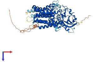 AlphaFold protein structure predicition of Human Recombinant ALG9 Protein, UniprotID Q9H6U8