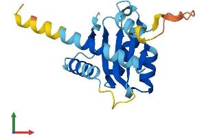 AlphaFold protein structure predicition of Human Recombinant GADD45A Protein, UniprotID P24522