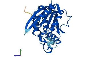 AlphaFold protein structure predicition of Human Recombinant N6AMT1 Protein, UniprotID Q9Y5N5