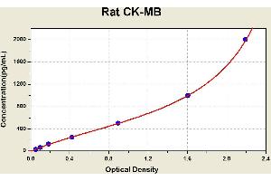 Diagramm of the ELISA kit to detect Rat CK-MBwith the optical density on the x-axis and the concentration on the y-axis.
