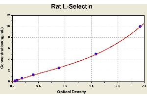 Diagramm of the ELISA kit to detect Rat L-Select1 nwith the optical density on the x-axis and the concentration on the y-axis. (L-Selectin Kit ELISA)