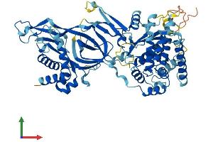AlphaFold protein structure predicition of Human Recombinant MCMDC2 Protein, UniprotID Q4G0Z9