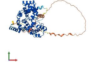 AlphaFold protein structure predicition of Mouse Recombinant Tbc1d10c Protein, UniprotID Q8C9V1