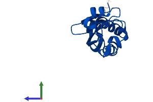 AlphaFold protein structure predicition of Mouse Recombinant Pts Protein, UniprotID Q9R1Z7