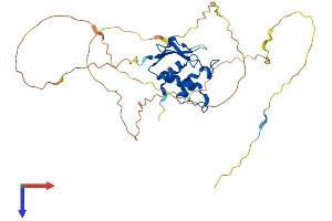 AlphaFold protein structure predicition of Mouse Recombinant Irf2 Protein, UniprotID P23906