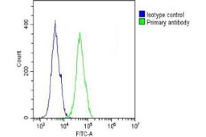 Overlay histogram showing A431 cells stained with (ABIN653043 and ABIN2842656) (green line).