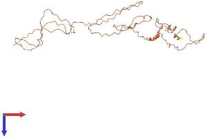 AlphaFold protein structure predicition of Human Recombinant KRTAP10-1 Protein, UniprotID P60331