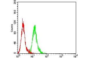 Flow cytometric analysis of Hela cells using ATG10 mouse mAb (green) and negative control (red).