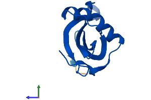 AlphaFold protein structure predicition of Human Recombinant CSTB Protein, UniprotID P04080