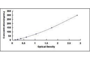 Typical standard curve