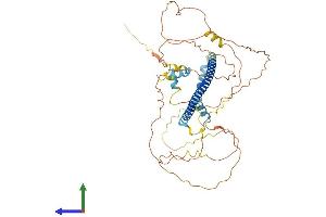 AlphaFold protein structure predicition of Mouse Recombinant Creb3l3 Protein, UniprotID Q91XE9