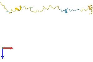 AlphaFold protein structure predicition of Human Recombinant PKIB Protein, UniprotID Q9C010