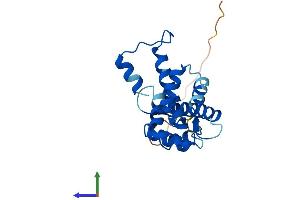 AlphaFold protein structure predicition of Human Recombinant SRI Protein, UniprotID P30626
