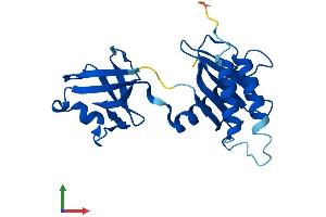AlphaFold protein structure predicition of Mouse Recombinant Trappc4 Protein, UniprotID Q9ES56