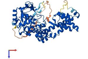 AlphaFold protein structure predicition of Mouse Recombinant Setd6 Protein, UniprotID Q9CWY3
