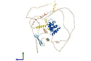 AlphaFold protein structure predicition of Mouse Recombinant Arid3b Protein, UniprotID Q9Z1N7