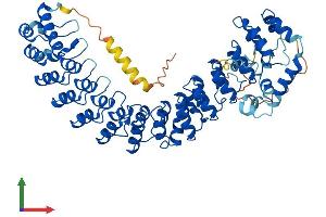 AlphaFold protein structure predicition of Human Recombinant ASB15 Protein, UniprotID Q8WXK1