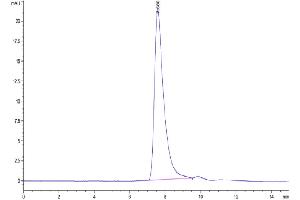 The purity of Cynomolgus Her2 is greater than 95 % as determined by SEC-HPLC. (ErbB2/Her2 Protein (AA 23-652) (His tag))
