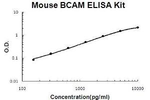 Mouse BCAM PicoKine ELISA Kit standard curve (BCAM Kit ELISA)