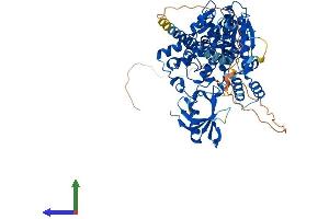 AlphaFold protein structure predicition of Human Recombinant MTMR7 Protein, UniprotID Q9Y216